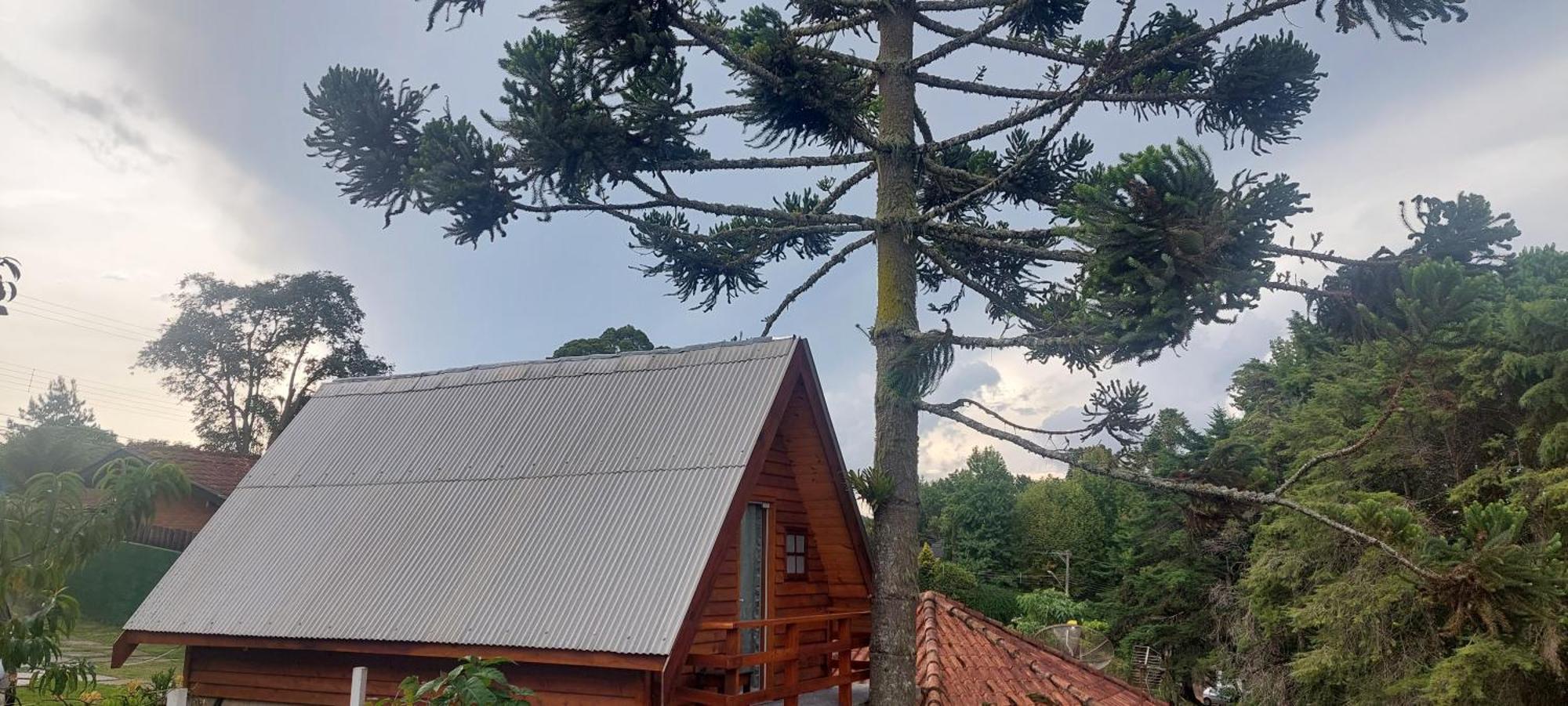 Chale Com Hidromassagem Da Vick Otel Campos do Jordao Dış mekan fotoğraf
